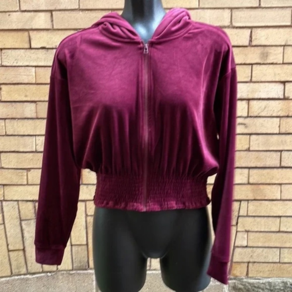 Anthropologie Catie Cropped Velvet Zip-Up Hoodie